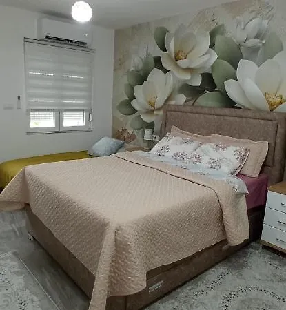 Apartment Lotos