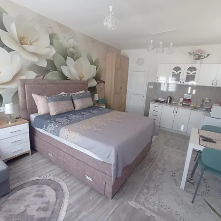 Apartment Lotos *